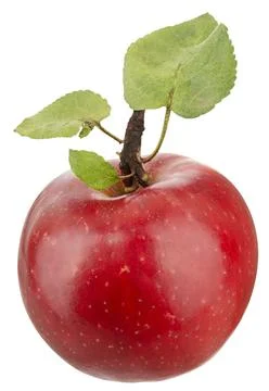 Fresh red apple Stock Photos