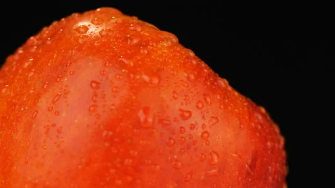 Fresh red apple with water drops. Stock Footage 101509833