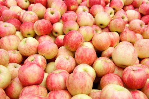 Fresh red apples background Stock Photos