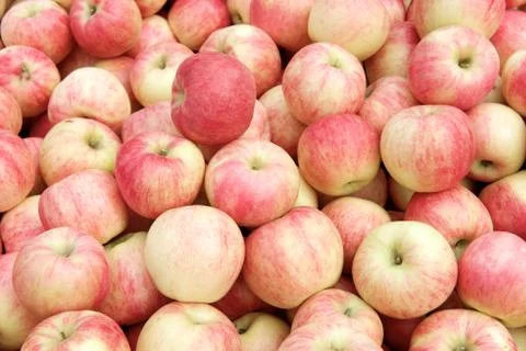 Fresh red apples in the box Stock Photos