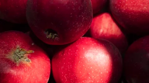 Fresh Red Apples Close Up Stock Footage 343662441