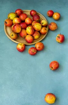 Fresh red apples on a gray background. Fruit. View from above. Free space for Stock Photos