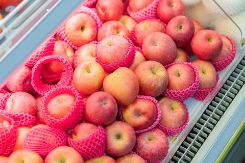 Fresh Red Apples in Protective Netting Stock Photos