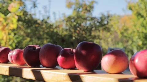 Fresh red apples stays in line on the wood railing Stock Footage 97267828