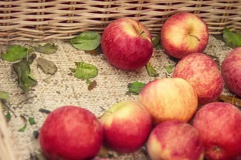 Fresh red apples texture. Fresh apple lying on the counter in straw basket - Stock Photos