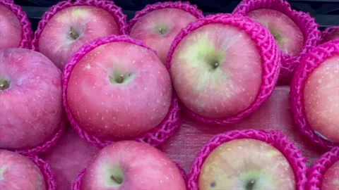 Fresh red apples wrapped in protective net Vídeo Stock 337572188