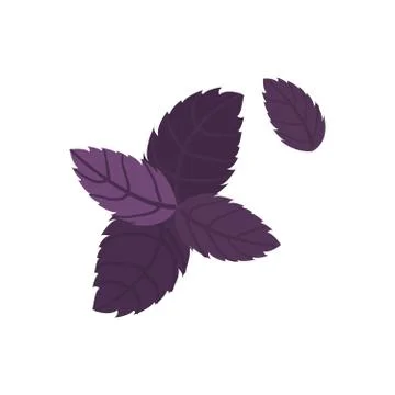 Fresh red basil leaves icon. Flat illustration of basil leaves vector icon lo Illustrazione stock