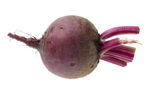 Fresh red Beet on a white background Stock Photos