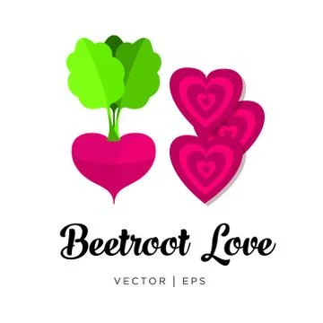 Fresh red beetroot, cut sliced, haulm, vector editable illustration. Flat sim Illustrazione stock