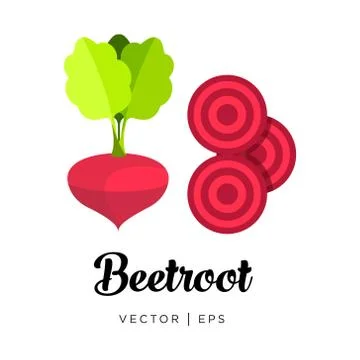 Fresh red beetroot, cut sliced, haulm, vector editable illustration. Flat sim Illustrazione stock