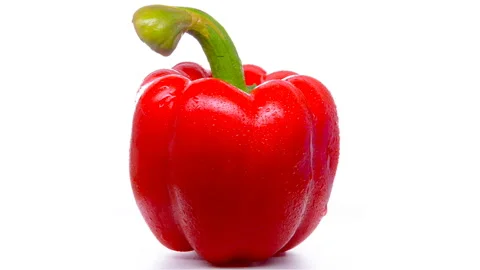 Fresh red bell pepper with drips rotating on white background Stock Footage 105060987