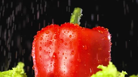Fresh red bell pepper getting washed with water drops on black background in Stock Footage 340952430