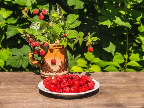 The fresh red bright raspberry berries on a white plate and an old clay mug w Stock Photos