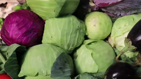 Fresh red cabbage nestled among pale greens Stock Footage 338169403