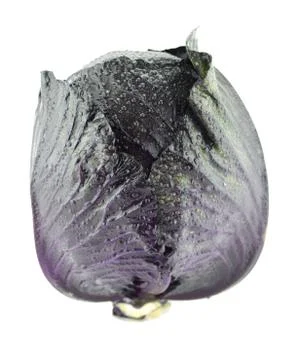 Fresh red cabbage Stock Photos
