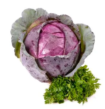 Fresh red cabbage on a white background Stock Photos