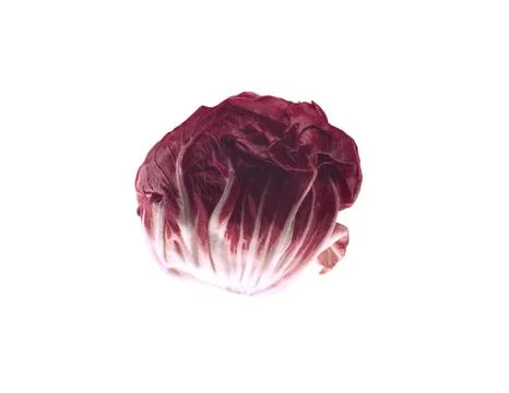 Fresh red cabbage on a white background Stock Photos