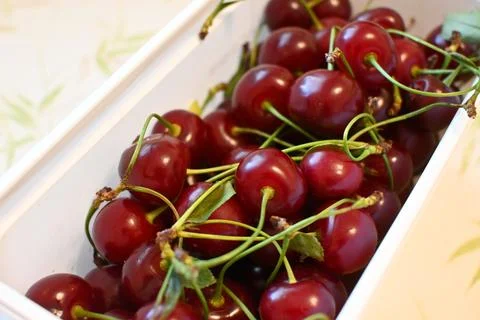 Fresh red cherries in a container Фото