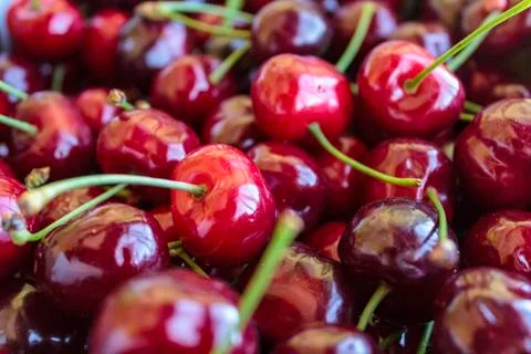 Fresh red cherries Stock Photos