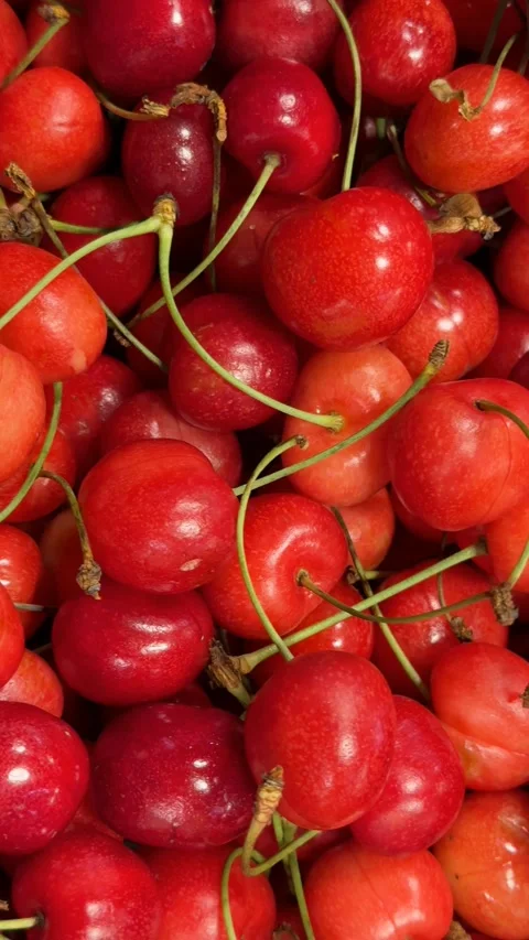 Fresh red cherries with stems creating a vibrant fruit background Stock Footage 340194286