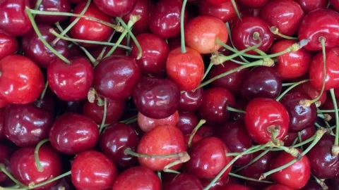 Fresh red cherries with stems, creating a vibrant and natural fruit backgroun Stock Footage 341351829