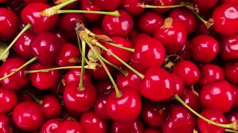 Fresh Red Cherries with Stems Rotation. 库存影片 276485415