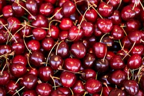 Fresh red cherries. Texture cherry berries Stock Photos