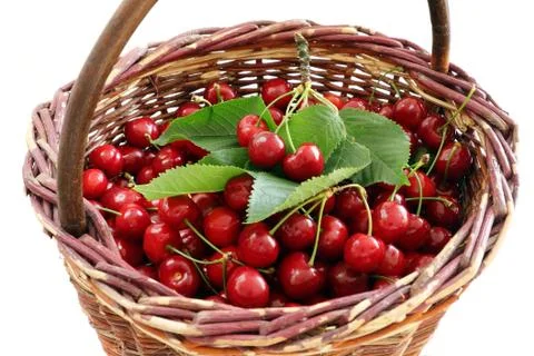 Fresh red cherry with green leaf in basket Stock Photos