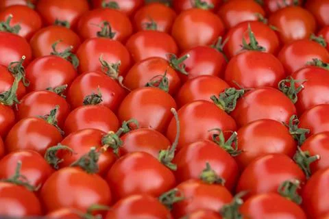 Fresh red cherry tomatoes arranged in a dense pattern covering the frame, h.. 写真素材