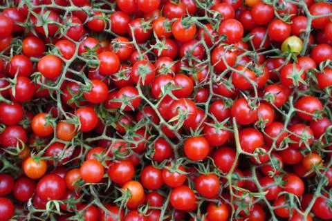 Fresh red cherry tomatoes background Stock Photos
