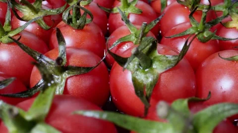 Fresh red cherry tomatoes with green stems filling the frame Stock Footage 304489087