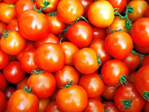 Fresh Red Cherry Tomatoes Stock Photos
