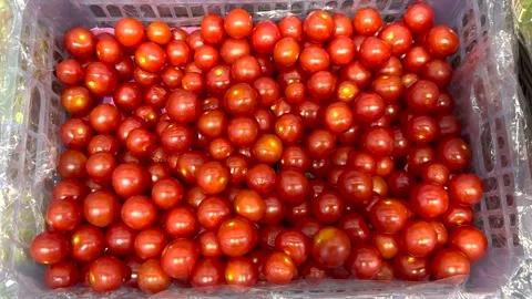 Fresh red cherry tomatoes in plastic crate, organic vegetables at market Stock Footage 333147293