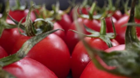 Fresh red cherry tomatoes showing green stems and leaves Stock-Footage 304489084