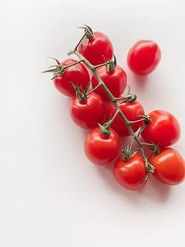 Fresh red cherry tomatoes on vine isolated on white background, healthy org.. 库存照片