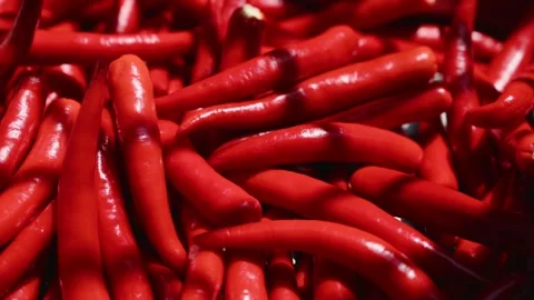 Fresh Red Chili Peppers Drying in Bright Sunlight Stock Footage 346487729