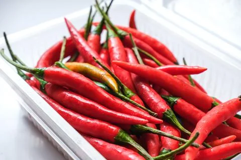 Fresh red chilli in plastic box Stock Photos