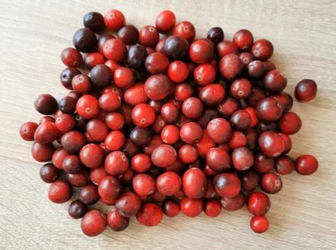 Fresh red cranberries Stock Photos