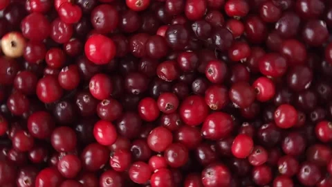 Fresh red cranberry berries close-up slowly rotate. Video stock 232767221