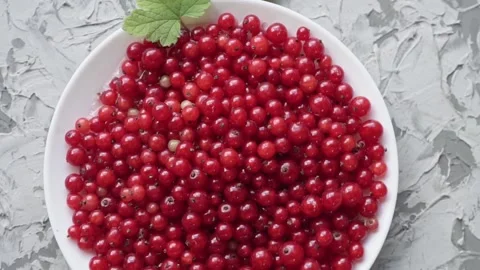 Fresh red currant berries on a white plate on a concrete gray background slow Stock Footage 199497934