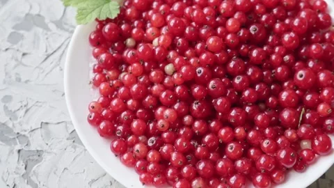 Fresh red currant berries on a white plate on a concrete gray background slow Stock Footage 201769551