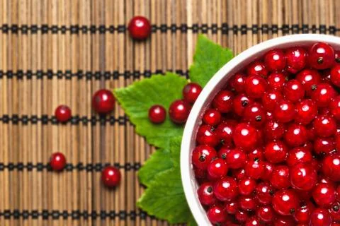 Fresh red currant on a dining table Stock Photos