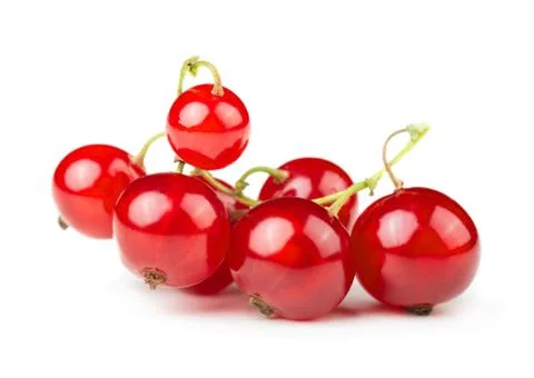 Fresh red currant fruit Stock Photos