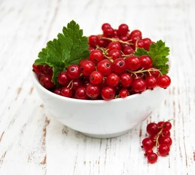 Fresh red currant Stock Photos
