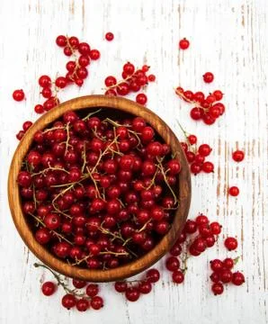 Fresh red currant Foto stock