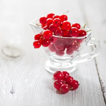 Fresh red currant Stock Photos