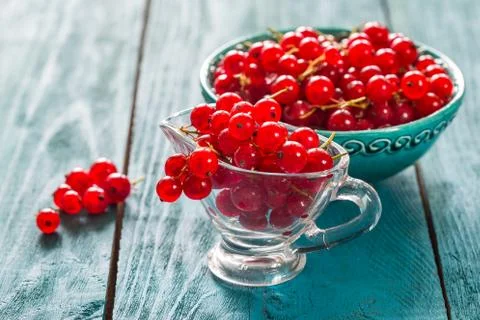 Fresh red currant Stock-Fotos