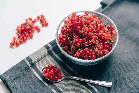 Fresh red currant. Stock Photos