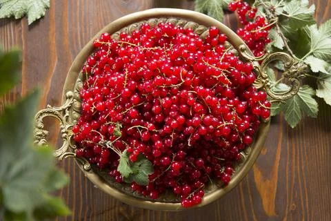Fresh red currant in the rustic metal plate on a wooden table Stock Photos