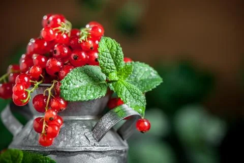 Fresh red currants in a Cup on a dark rustic wooden table. Background with space Stock Photos
